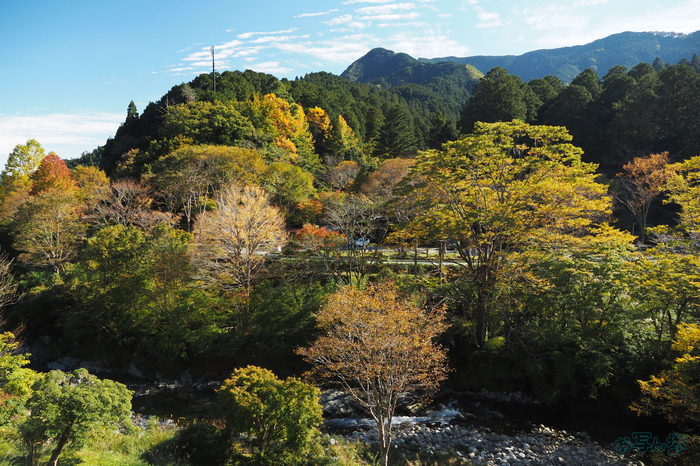 お写ん歩: M.ZUIKO DIGITAL ED 40-150mm F4.0 PROアーカイブ